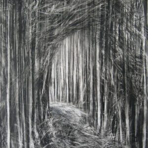 Path Through the Forest II