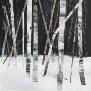Birch Trees in the Snow