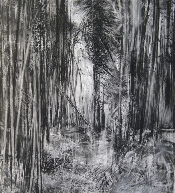 Cropton Forest