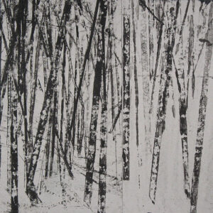 Into The Forest