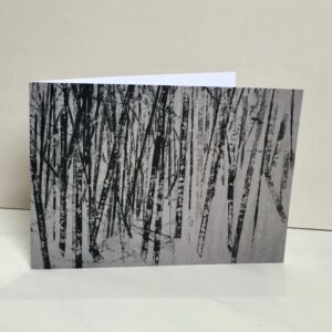 Card 5 'Into the Forest'