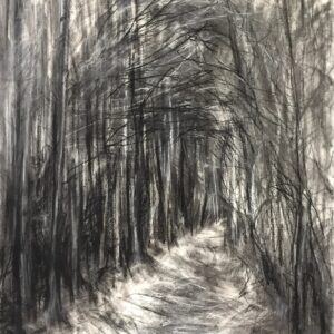Forest Dreams II