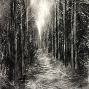 Forest Dreams