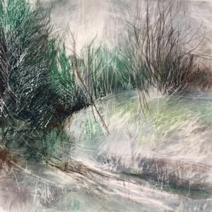 Evergreen II