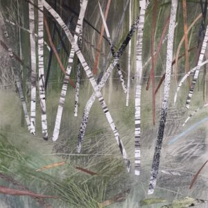 Quiet Birch Wood III